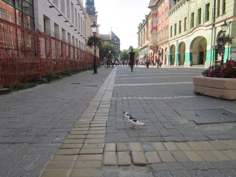 https://gradsubotica.co.rs/wp-content/uploads/2018/09/korzo-x.jpg