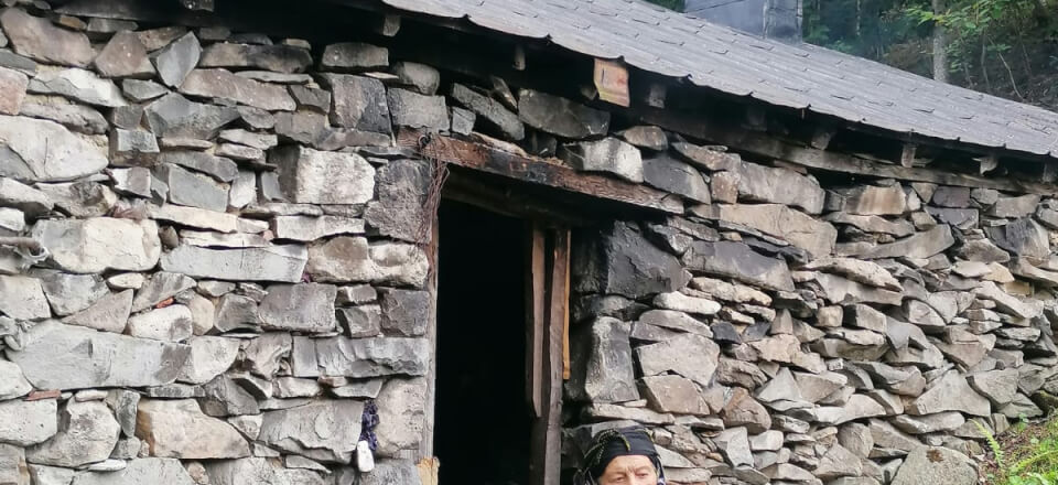 neispričana-priča-lifka