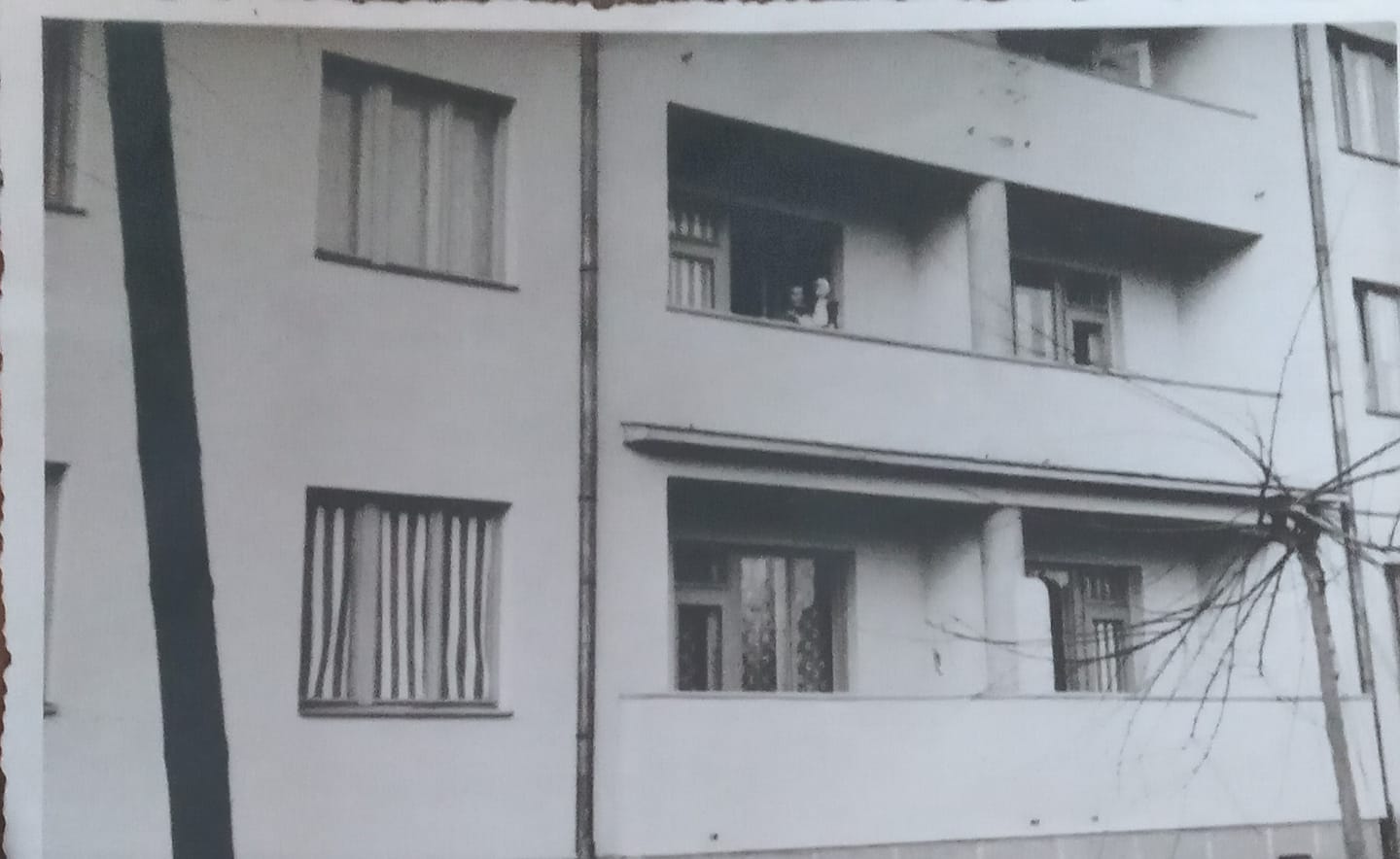 https://gradsubotica.co.rs/wp-content/uploads/2023/03/Kifli-haz-1.jpg