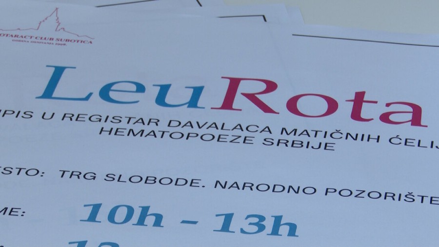 maticne-celije-08.05-1