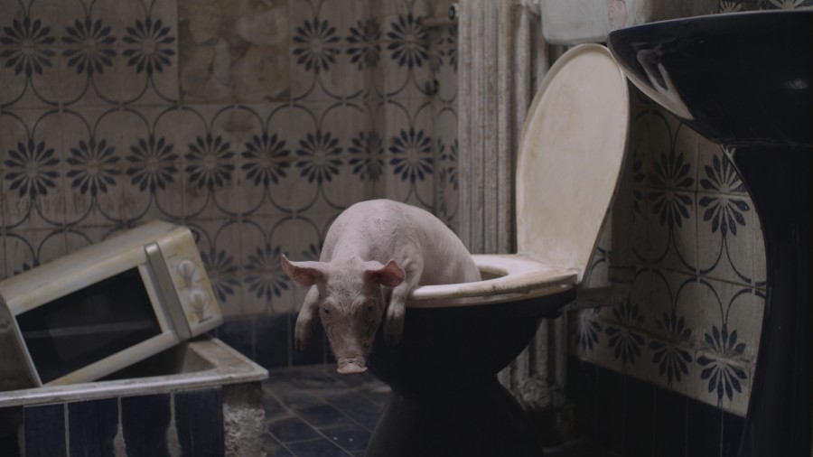 Snežana na kraju mora umreti - kadar iz filma