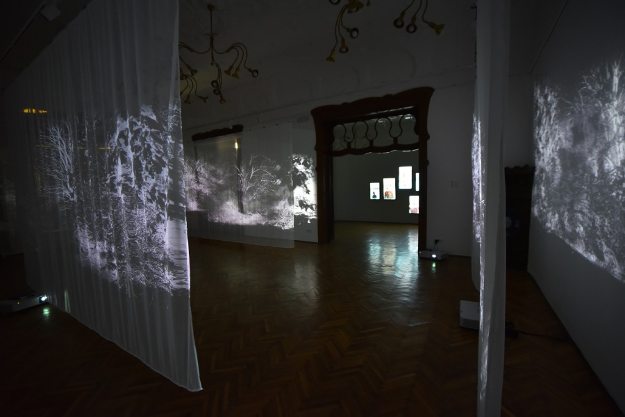 savremena-galerija-26.07