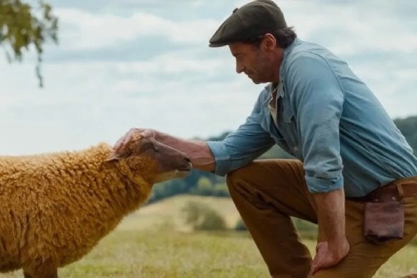 ovce detektivi-abazija-1